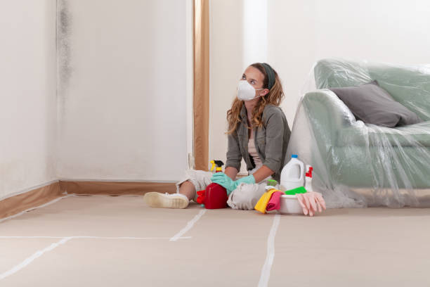 Reliable Crawl Space Mold Removal contractor in Nashville, TN by WQB Mold Removal